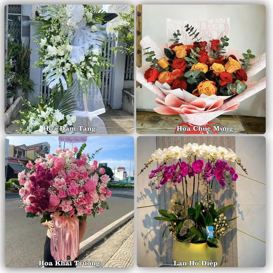 Tư vấn chọn hoa theo từng dịp tại Mường Lay, Điện Biên
