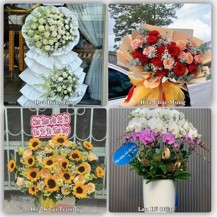 Đặt hoa online giao tận nơi tại Ngã Năm, Sóc Trăng