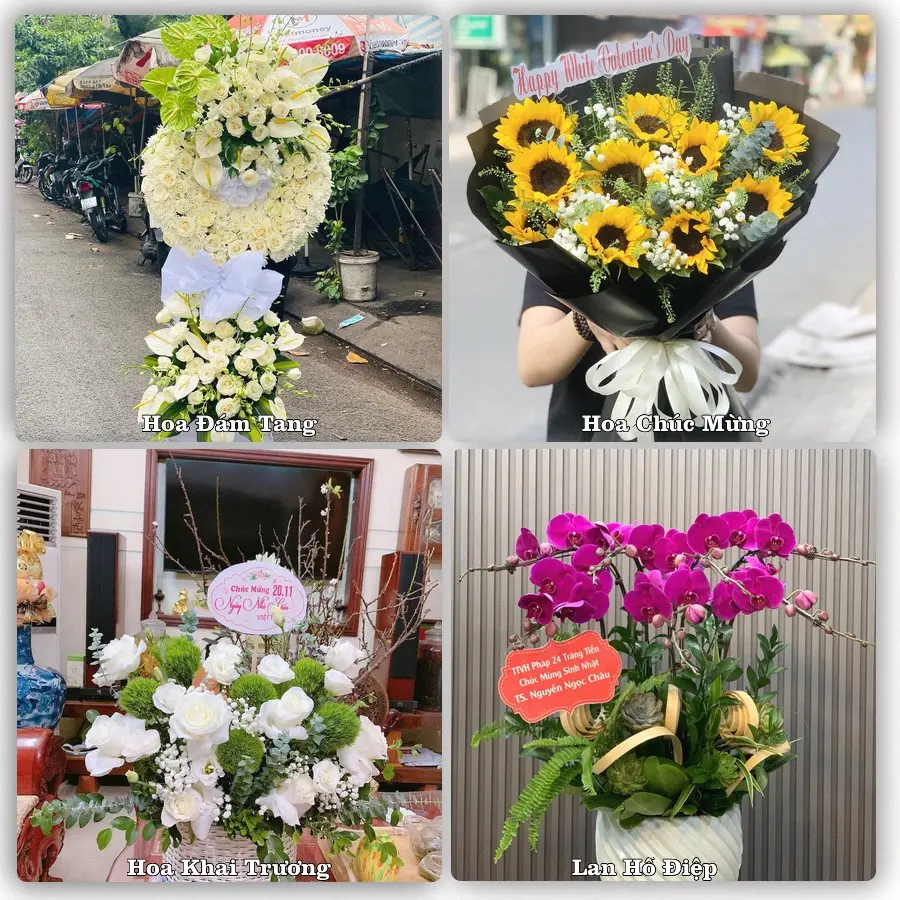 Mẫu hoa tươi dành cho khách đặt hoa tại Ngã Năm, Sóc Trăng