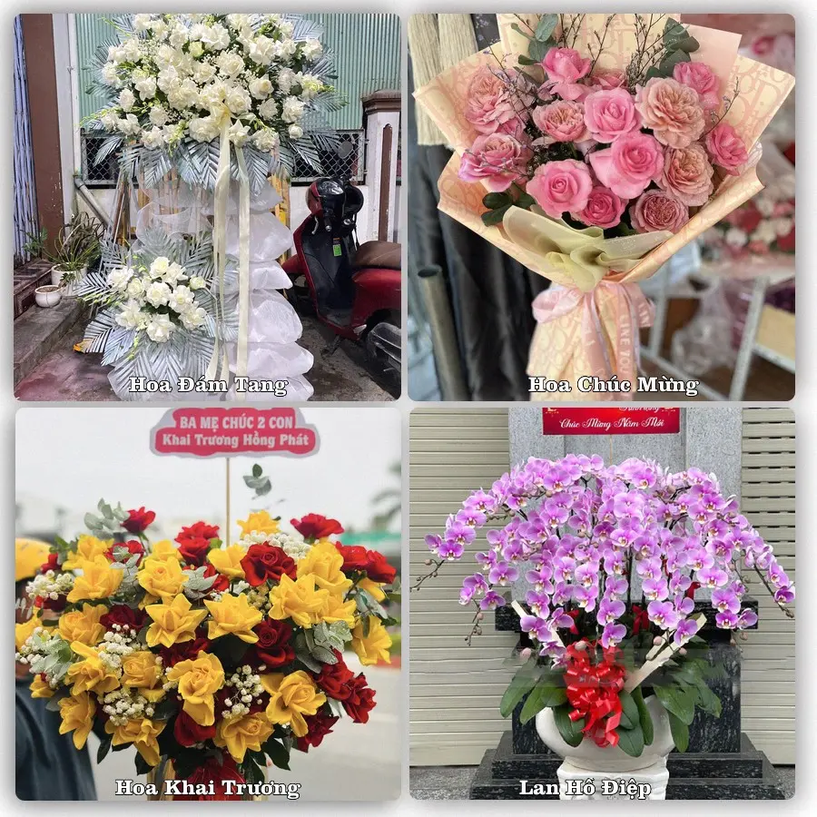 Tư vấn chọn hoa theo từng dịp tại Ngã Năm, Sóc Trăng