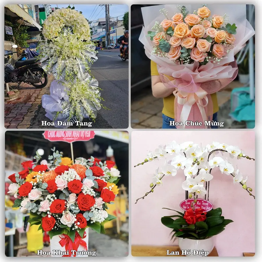 Mẫu hoa tươi dành cho khách đặt hoa tại Nghi Sơn, Thanh Hóa