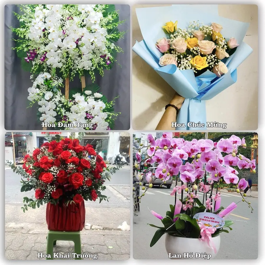 Tư vấn chọn hoa theo từng dịp tại Nghi Sơn, Thanh Hóa
