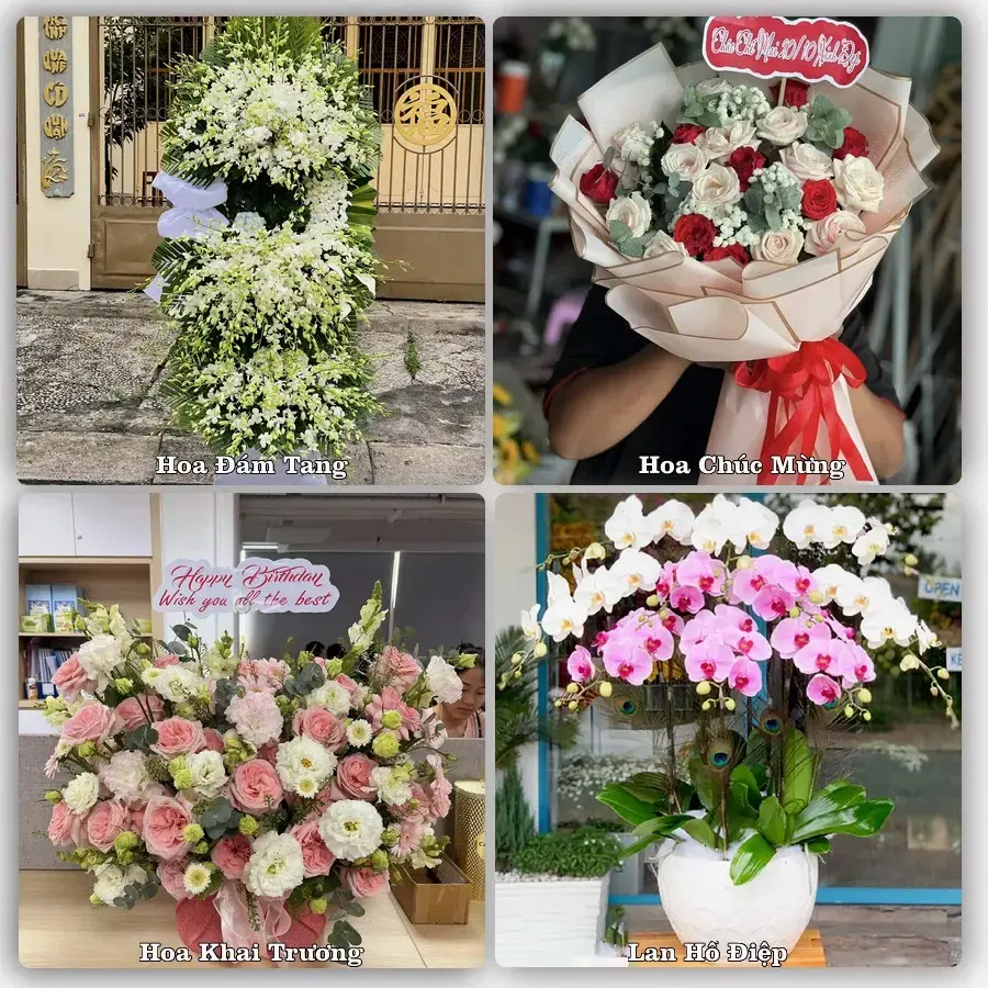 Tư vấn chọn hoa theo từng dịp tại Ninh Hòa, Khánh Hòa