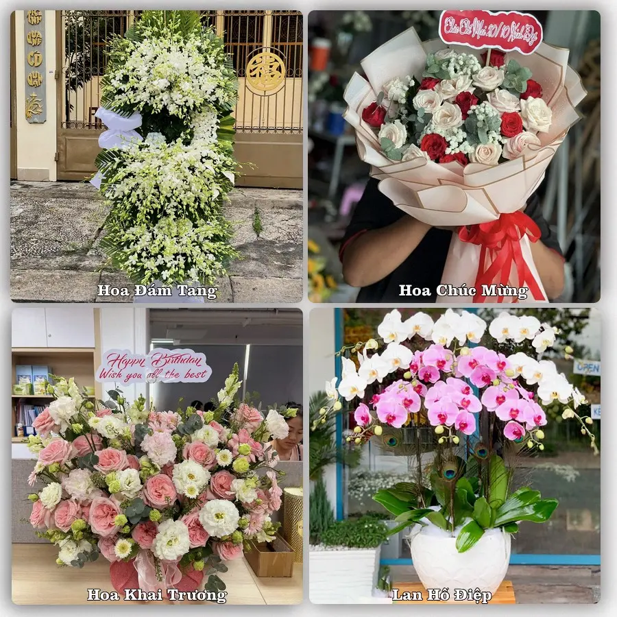 Tư vấn chọn hoa theo từng dịp tại Ninh Hòa, Khánh Hòa