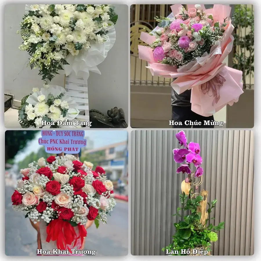 Đặt hoa online giao tận nơi tại Phú Mỹ, Bà Rịa - Vũng Tàu