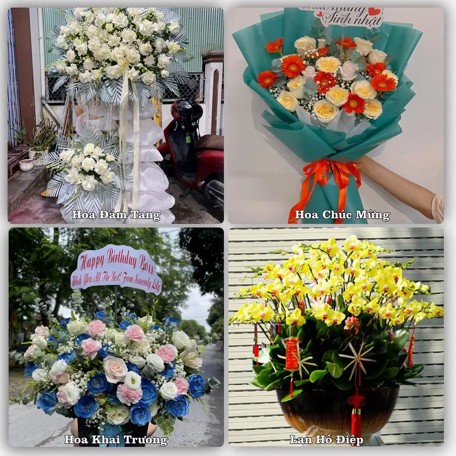 Mẫu hoa tươi dành cho khách đặt hoa tại Phú Mỹ, Bà Rịa - Vũng Tàu