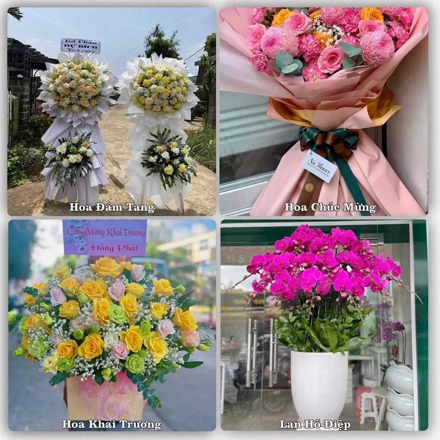 Tư vấn chọn hoa theo từng dịp tại Phú Mỹ, Bà Rịa - Vũng Tàu