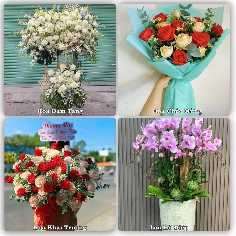 Shop hoa tươi Phước Long, Bình Phước – Giao tận nơi trong 2 giờ