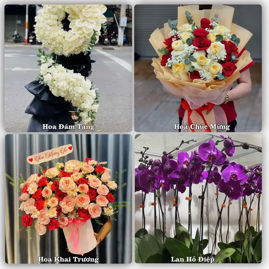 Shop hoa tươi Sa Pa, Lào Cai – Giao tận nơi trong 2 giờ