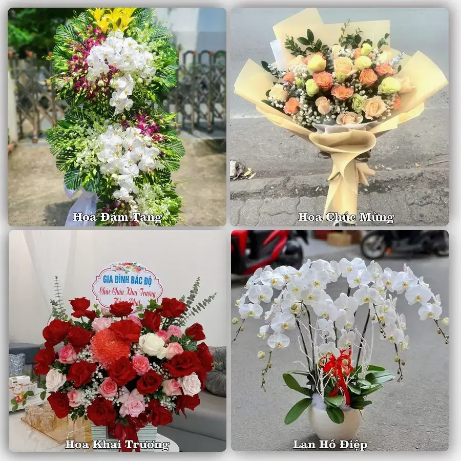 Tư vấn chọn hoa theo từng dịp tại Sa Pa, Lào Cai