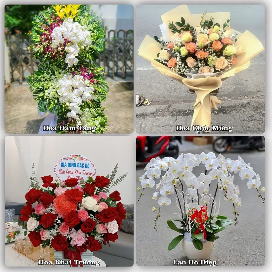 Tư vấn chọn hoa theo từng dịp tại Sa Pa, Lào Cai
