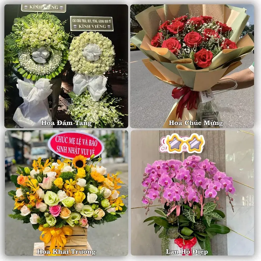 Shop hoa tươi Sơn Tây, Thành phố Hà Nội – Giao tận nơi trong 2 giờ