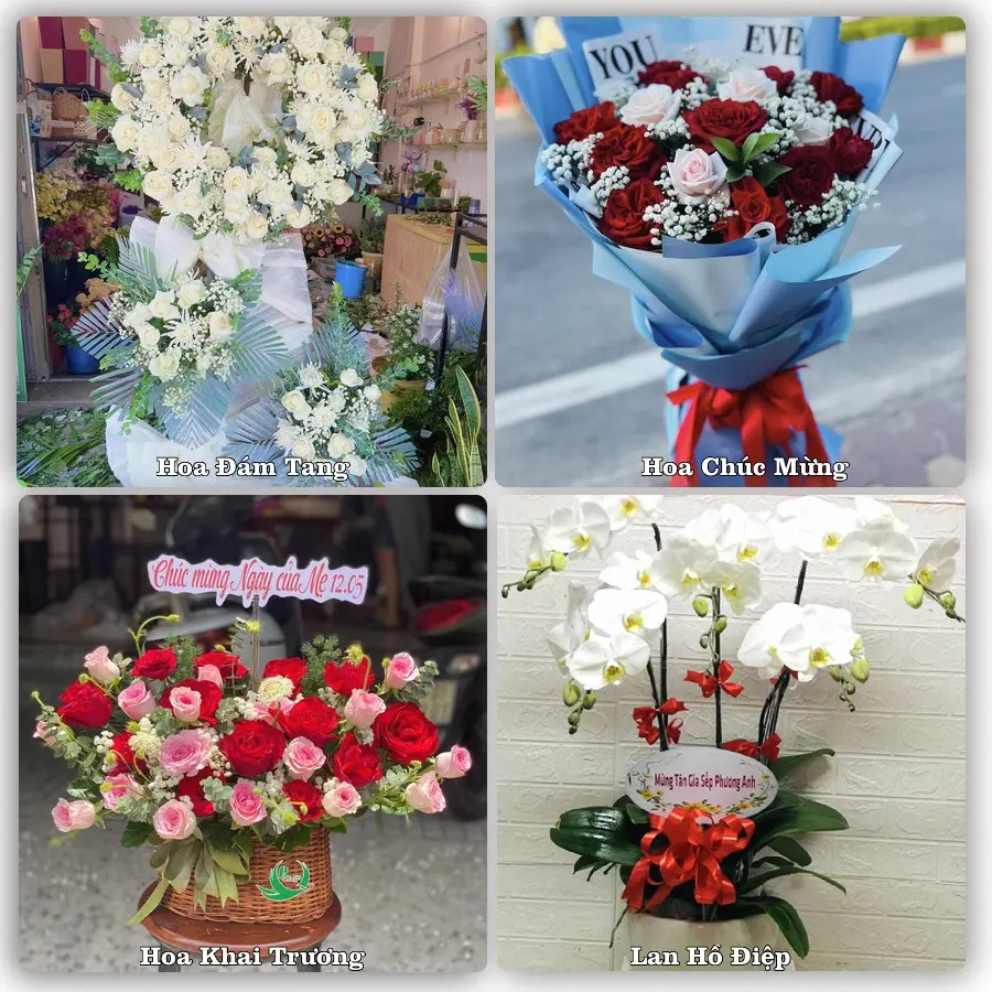 Mẫu hoa tươi dành cho khách đặt hoa tại Sông Cầu, Phú Yên