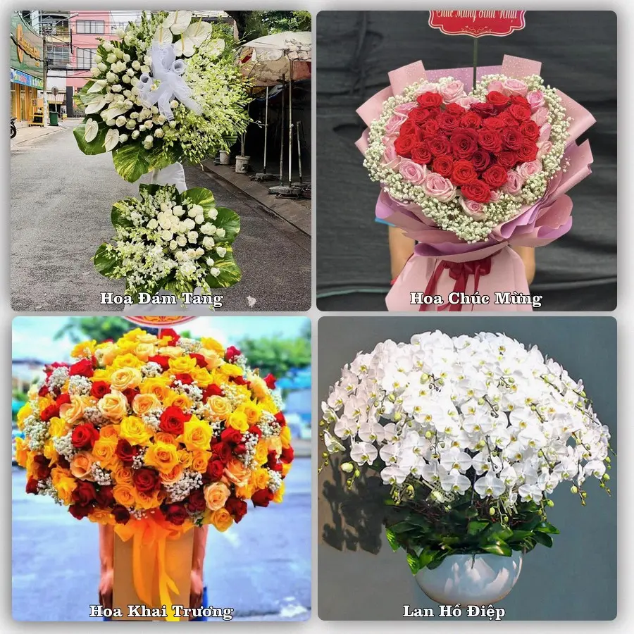 Tư vấn chọn hoa theo từng dịp tại Sông Cầu, Phú Yên