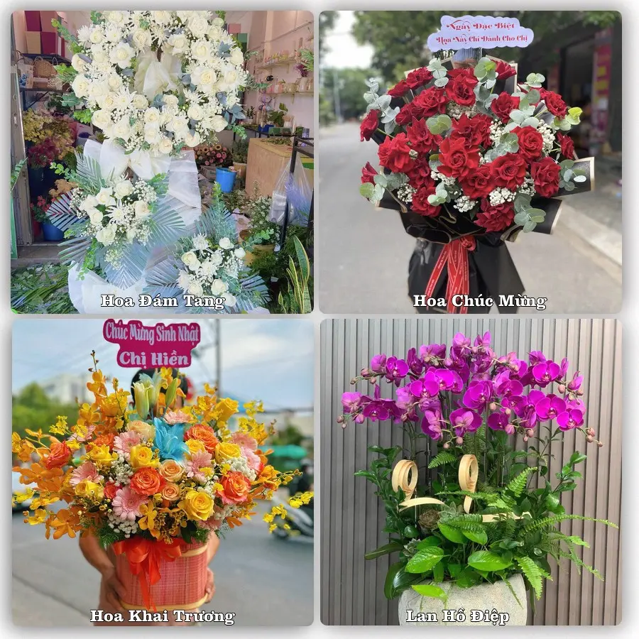 Tư vấn chọn hoa theo từng dịp tại Tân Châu, An Giang