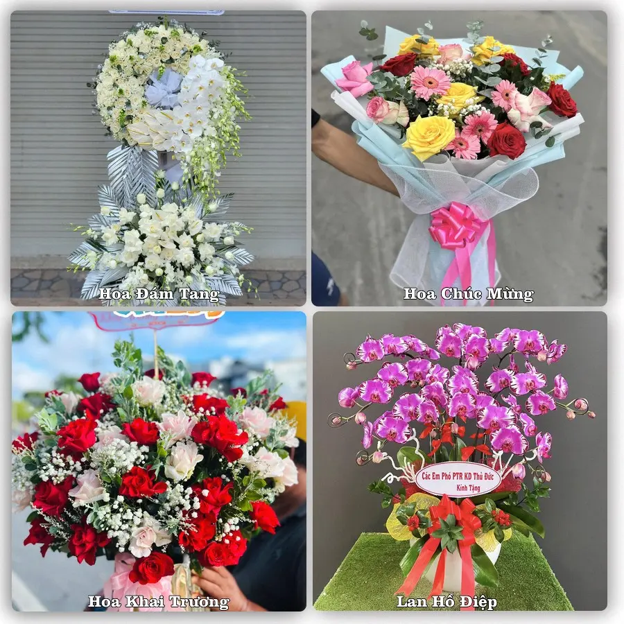Mẫu hoa tươi dành cho khách đặt hoa tại Thái Hoà, Nghệ An