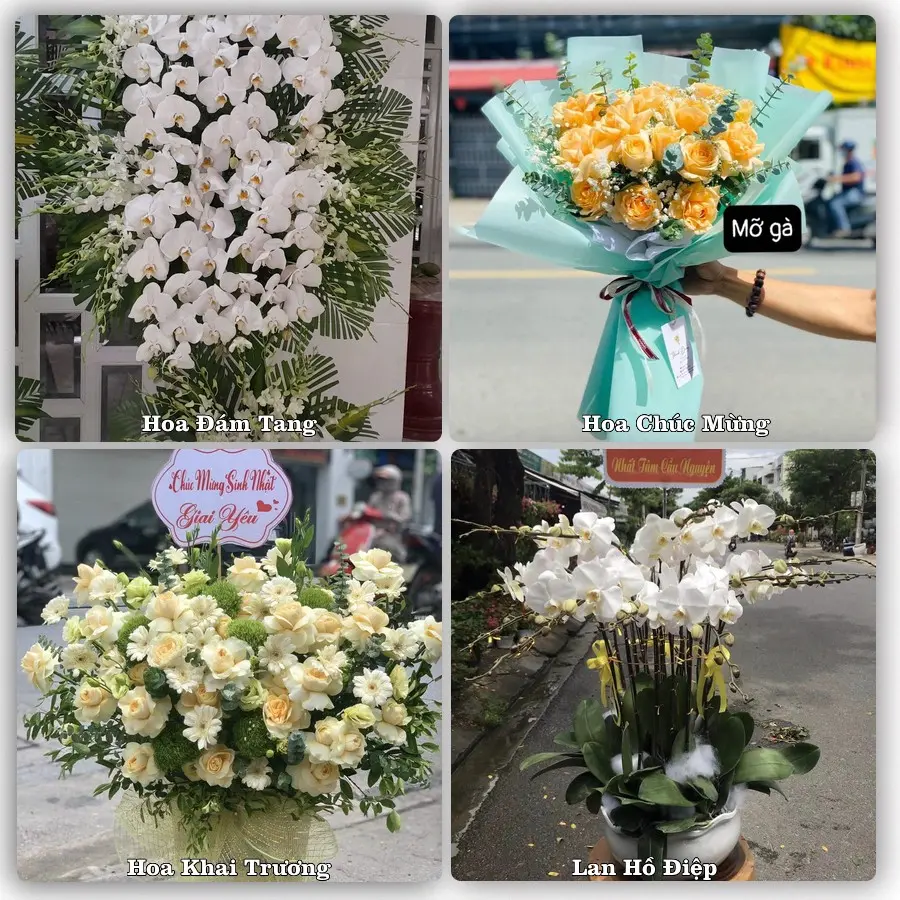 Tư vấn chọn hoa theo từng dịp tại Thái Hoà, Nghệ An