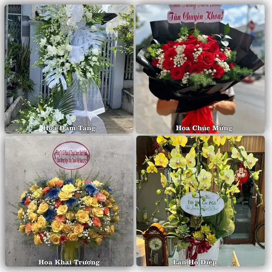 Shop hoa tươi Trảng Bàng, Tây Ninh – Giao tận nơi trong 2 giờ