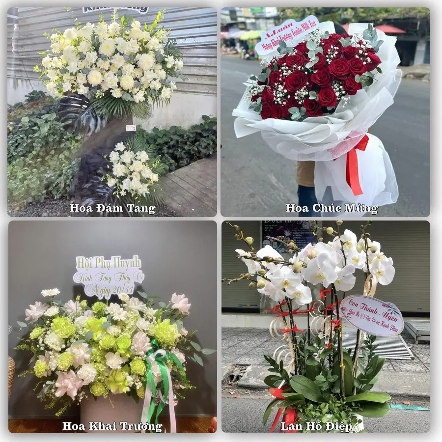 Mẫu hoa tươi dành cho khách đặt hoa tại Vĩnh Châu, Sóc Trăng