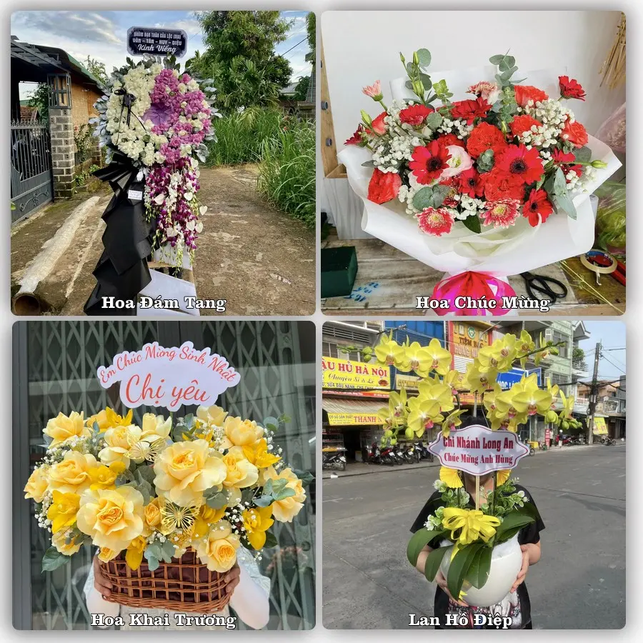 Tư vấn chọn hoa theo từng dịp tại Vĩnh Châu, Sóc Trăng