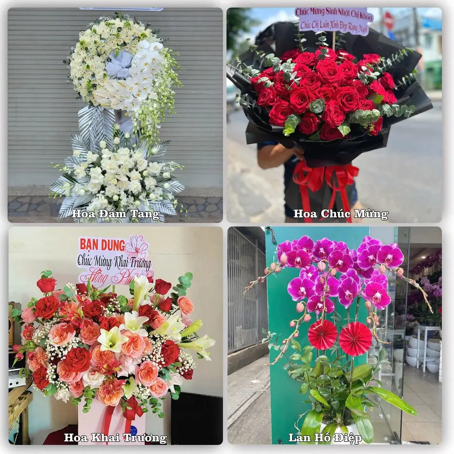 Mẫu hoa tươi dành cho khách đặt hoa tại Bến Quan, Vĩnh Linh
