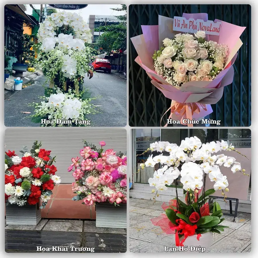 Shop hoa tươi Bến Sung, Như Thanh – Đặt online, giao tận nơi