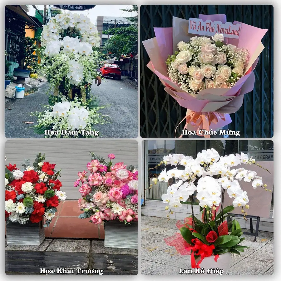 Mẫu hoa tươi dành cho khách đặt hoa tại Bến Sung, Như Thanh
