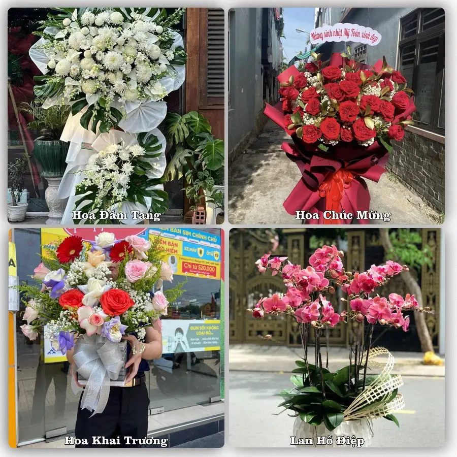 Mẫu hoa tươi dành cho khách đặt hoa tại Bình Dương, Phù Mỹ