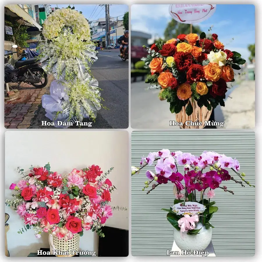 Tư vấn chọn hoa theo từng dịp tại Bình Dương, Phù Mỹ