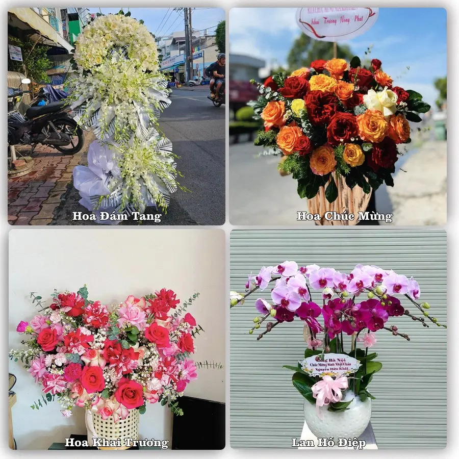 Tư vấn chọn hoa theo từng dịp tại Bình Dương, Phù Mỹ