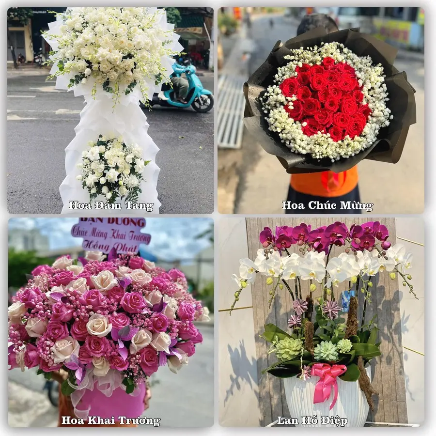 Mẫu hoa tươi dành cho khách đặt hoa tại Bình Gia