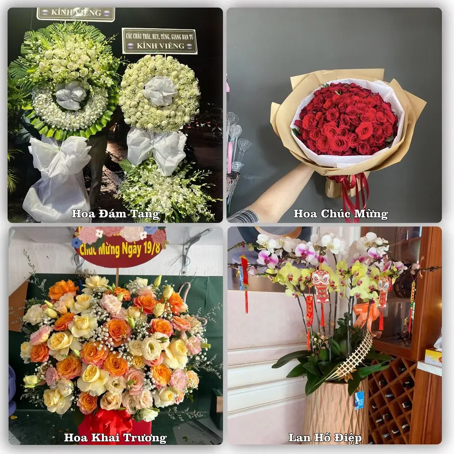 Tư vấn chọn hoa theo từng dịp tại Bình Gia