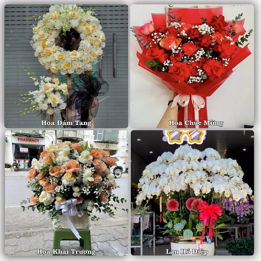 Mẫu hoa tươi dành cho khách đặt hoa tại Bình Liêu