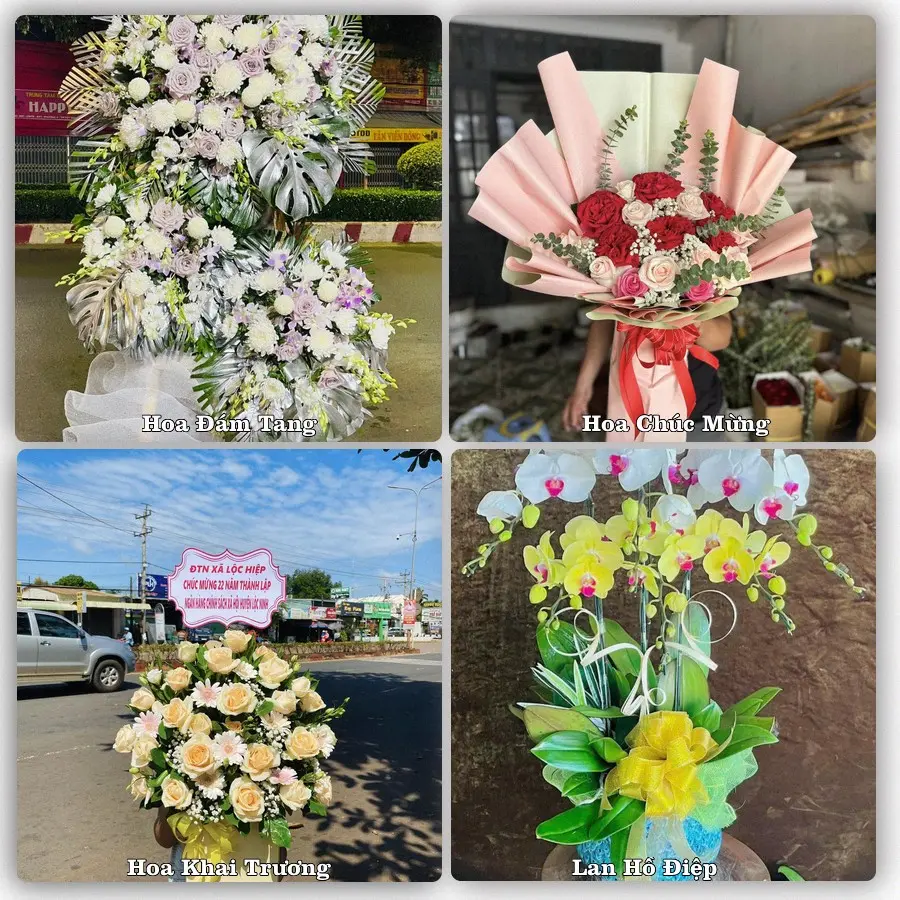 Tư vấn chọn hoa theo từng dịp tại Bình Liêu
