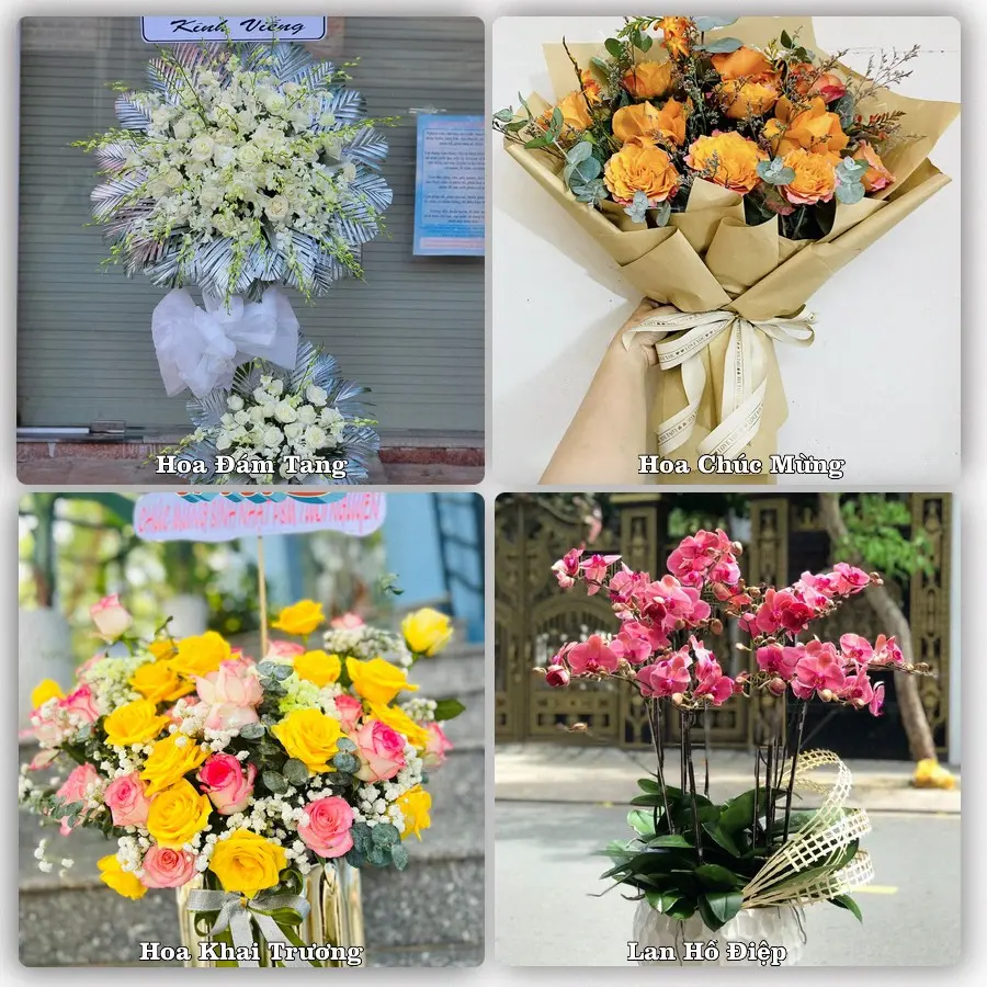 Mẫu hoa tươi dành cho khách đặt hoa tại Bo, Kim Bôi