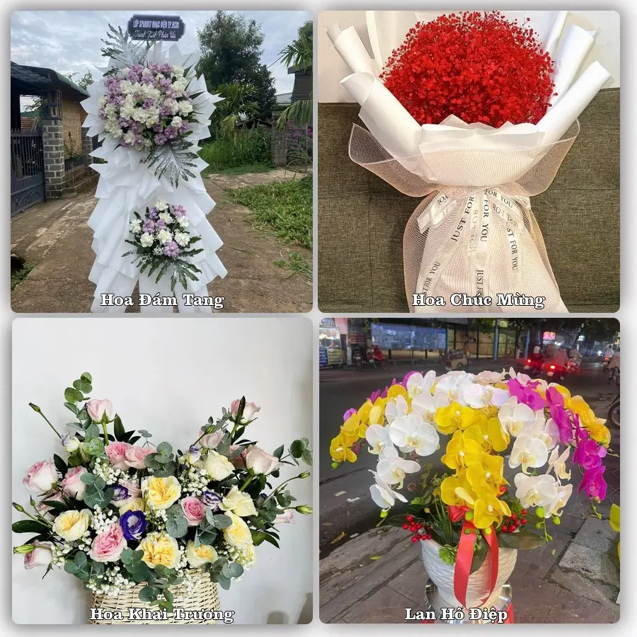 Tư vấn chọn hoa theo từng dịp tại Bo, Kim Bôi
