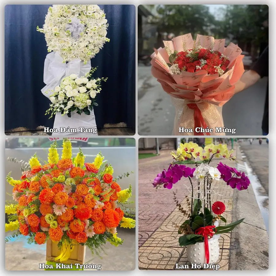 Tư vấn chọn hoa theo từng dịp tại Bút Sơn, Hoằng Hóa
