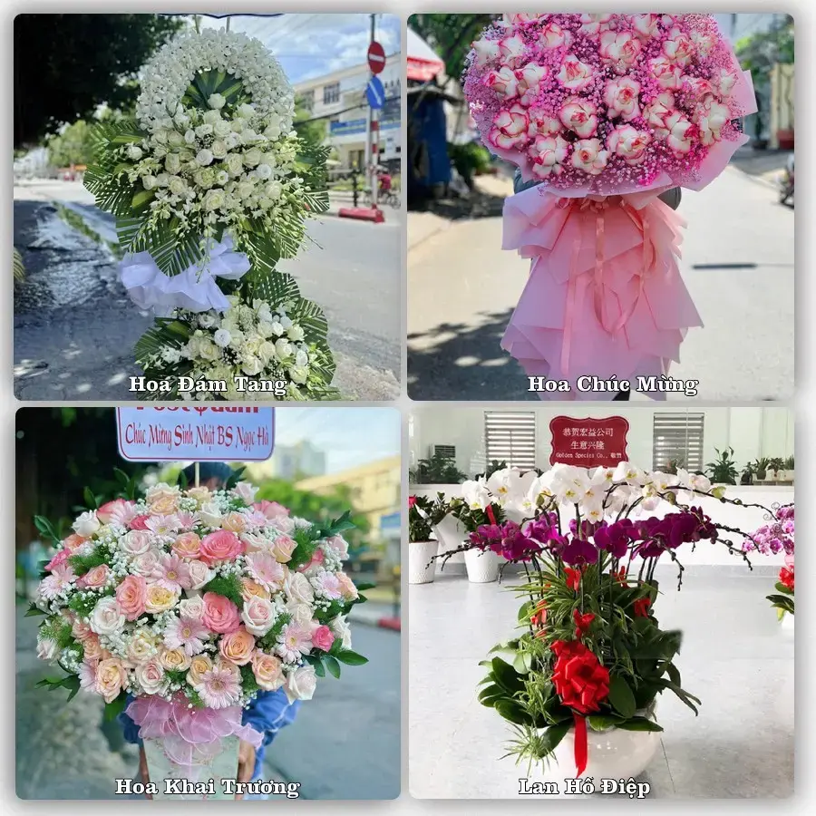 Tư vấn chọn hoa theo từng dịp tại Cái Rồng, Vân Đồn