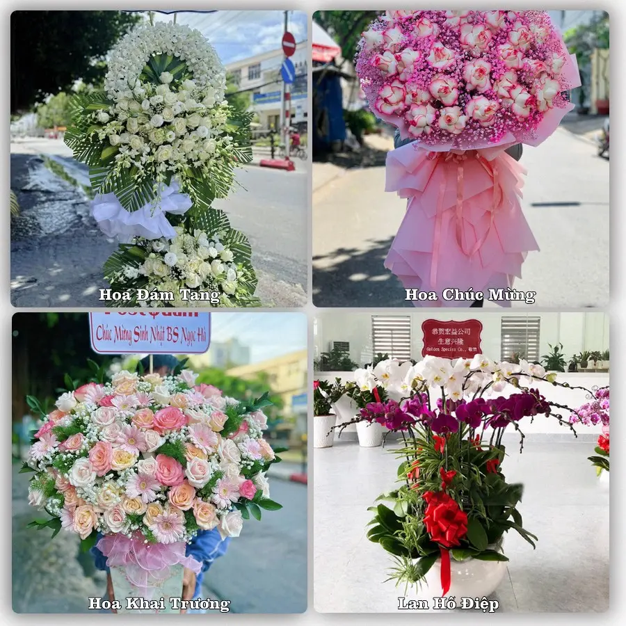 Tư vấn chọn hoa theo từng dịp tại Cái Rồng, Vân Đồn