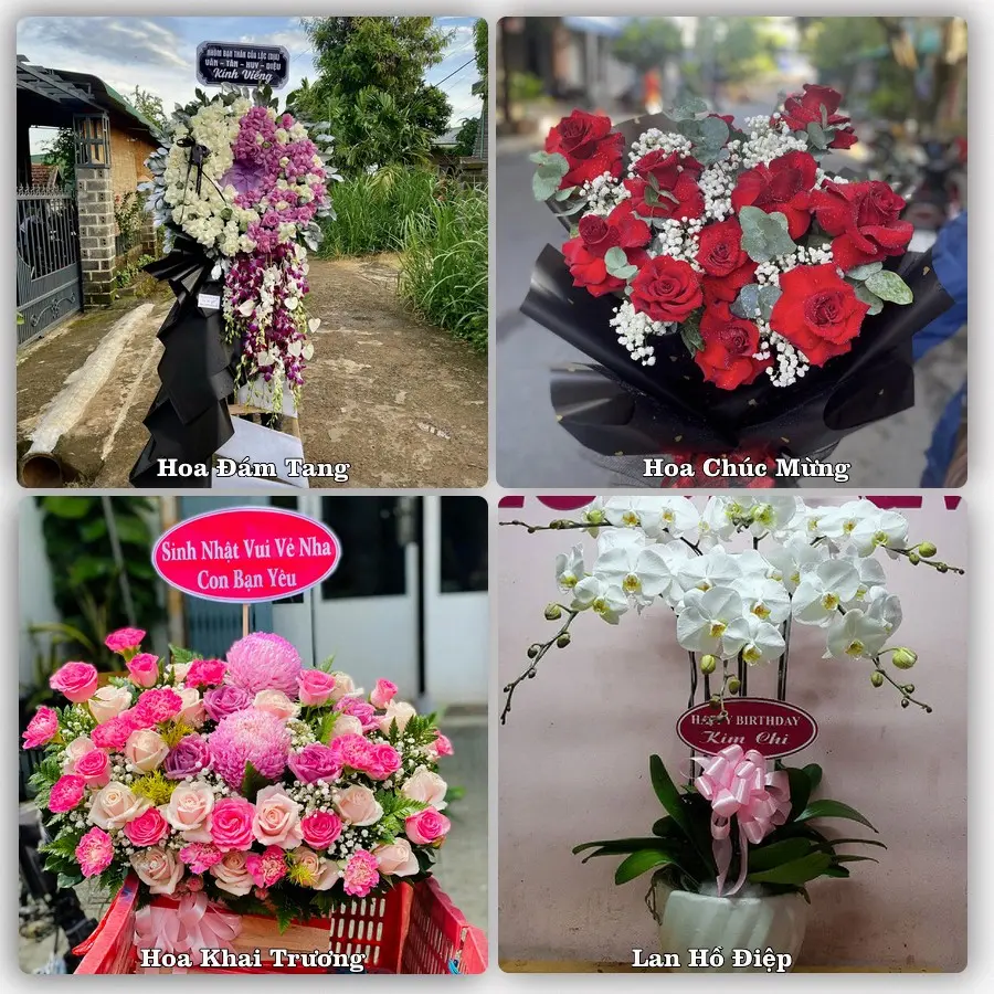 Mẫu hoa tươi dành cho khách đặt hoa tại Cam Lộ