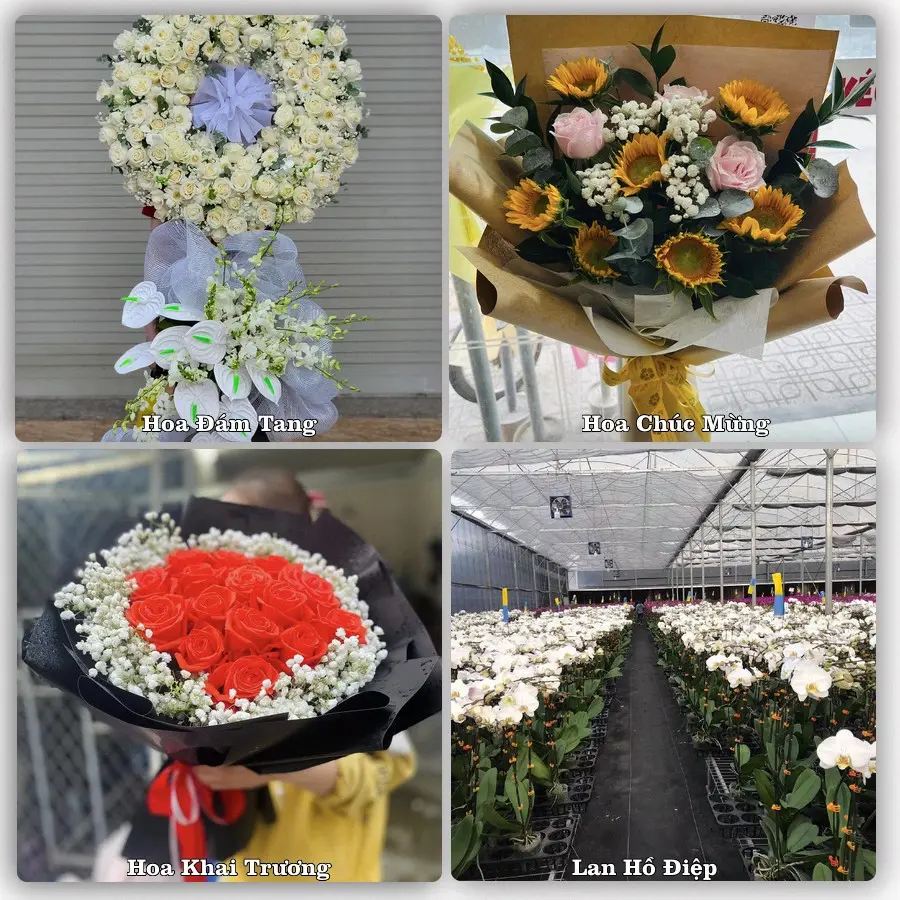 Tư vấn chọn hoa theo từng dịp tại Cam Lộ