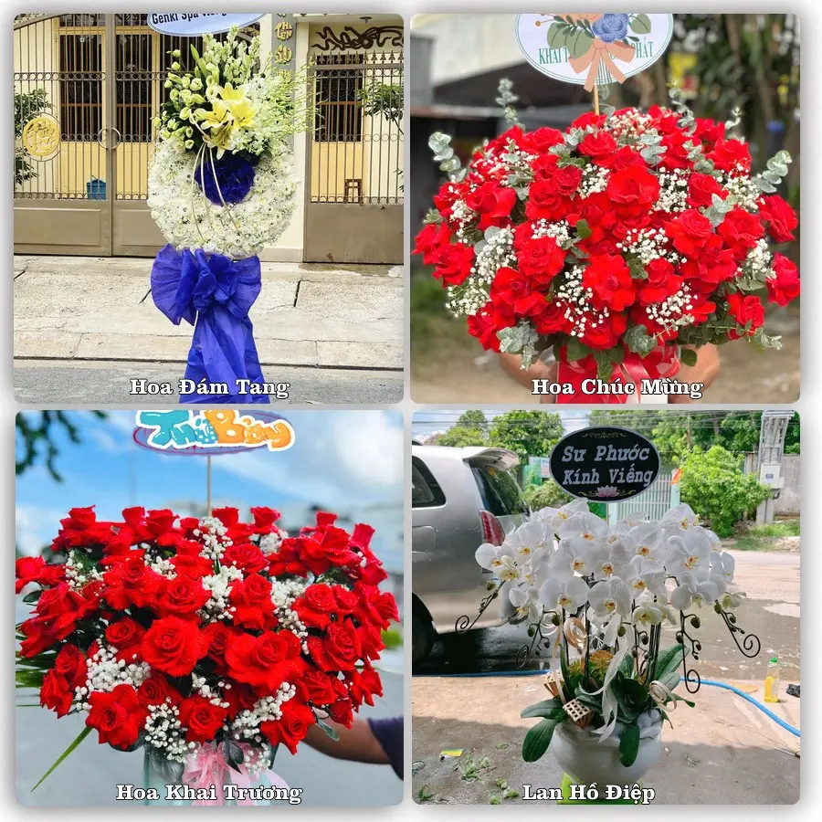 Tư vấn chọn hoa theo từng dịp tại Cành Nàng, Bá Thước