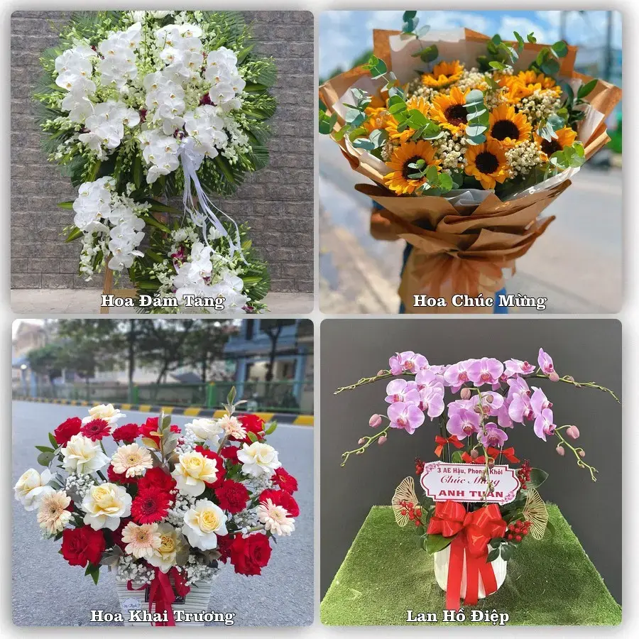 Tư vấn chọn hoa theo từng dịp tại Cao Phong