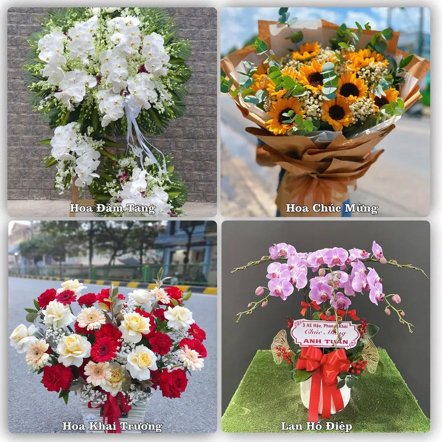 Tư vấn chọn hoa theo từng dịp tại Cao Phong