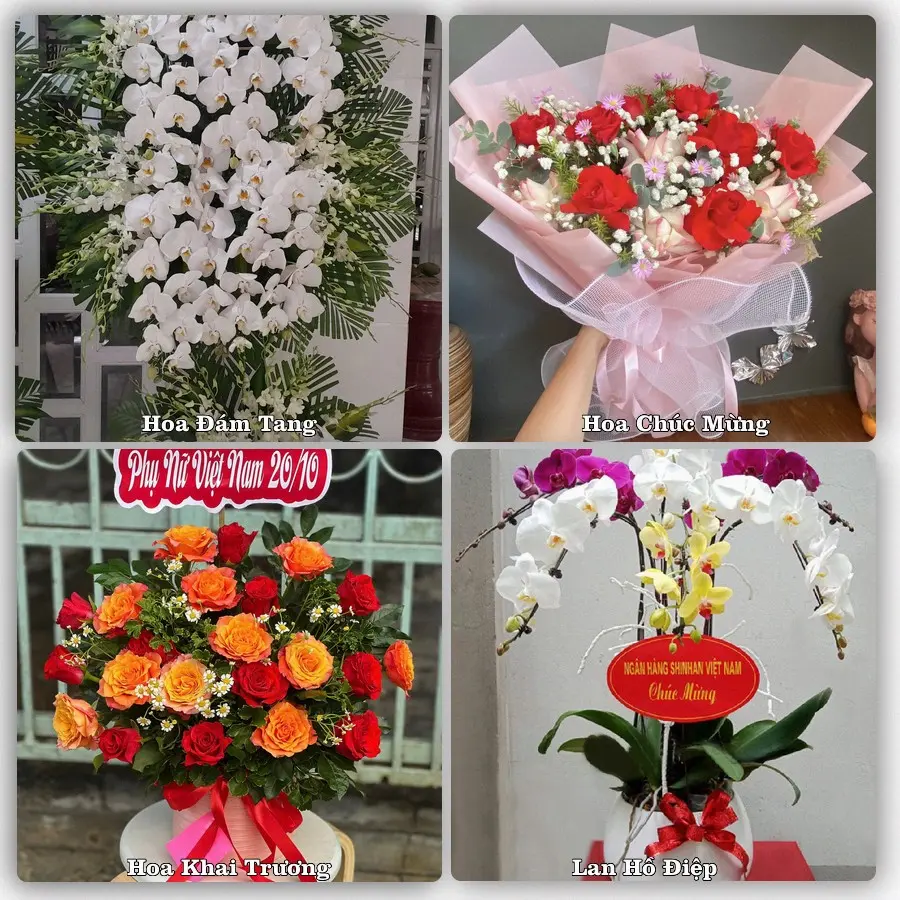 Mẫu hoa tươi dành cho khách đặt hoa tại Cát Bà, Cát Hải