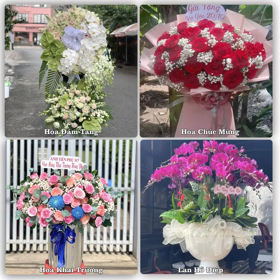 Tư vấn chọn hoa theo từng dịp tại Cát Bà, Cát Hải