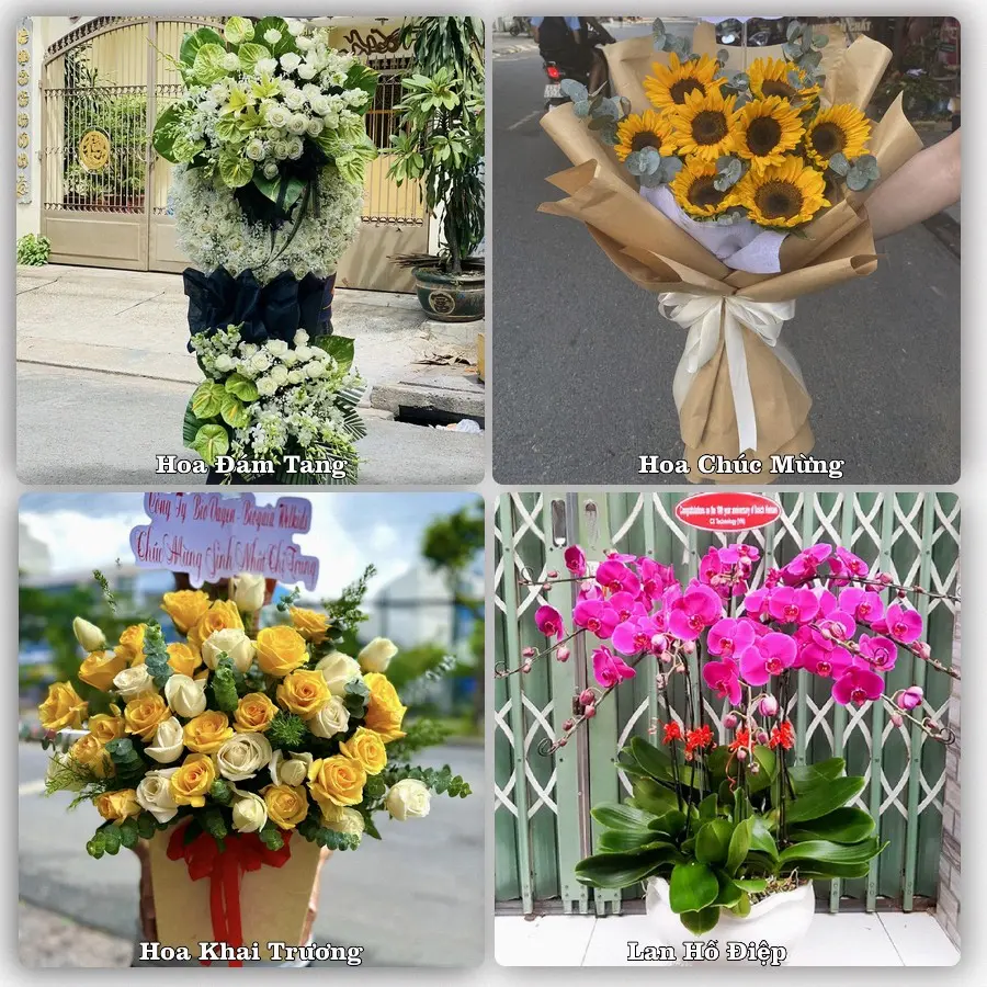 Tư vấn chọn hoa theo từng dịp tại Cát Hải