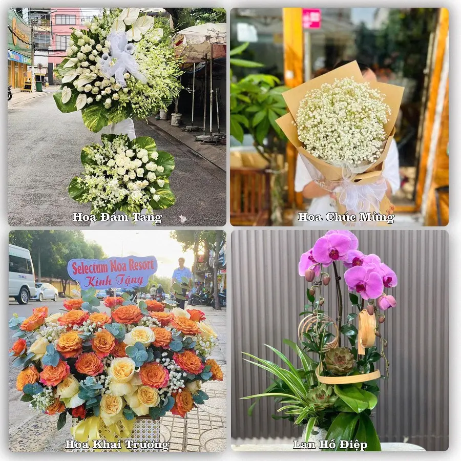 Tư vấn chọn hoa theo từng dịp tại Cát Thành, Trực Ninh