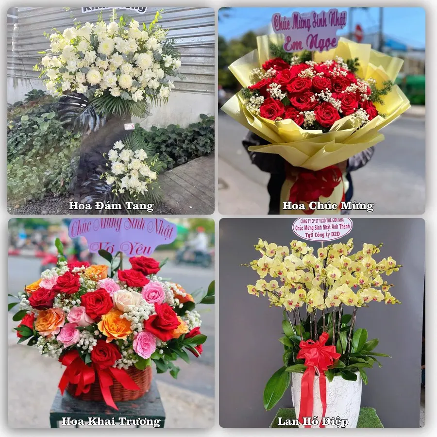 Tư vấn chọn hoa theo từng dịp tại Cát Tiến, Phù Cát