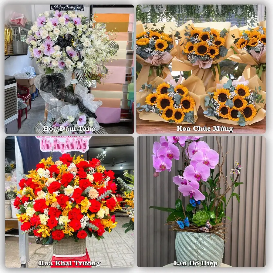 Tư vấn chọn hoa theo từng dịp tại Châu Ổ, Bình Sơn